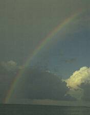 rainbow.jpg (2426 octets)